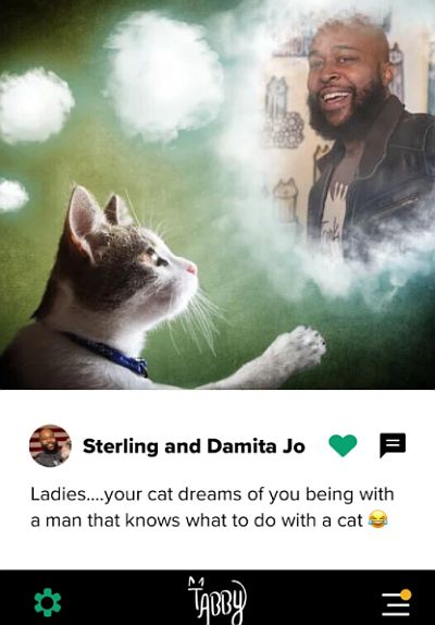 datingapp für katzenbesitzer