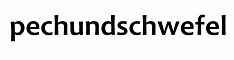 PechundSchwefel.ch Test - logo