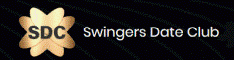 SDC-Swinger screenshot - logo