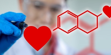 Partnerwahl und Liebe verstehen: Psychologie hinter der Anziehung